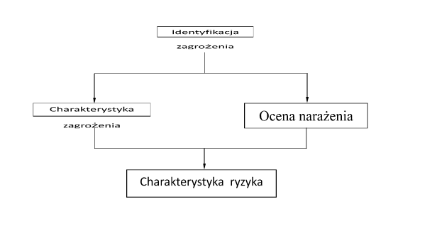 Analiza ryzyka w&nbsp;zarządzaniu jakością produkt&oacute;w